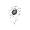 Shelli Logo